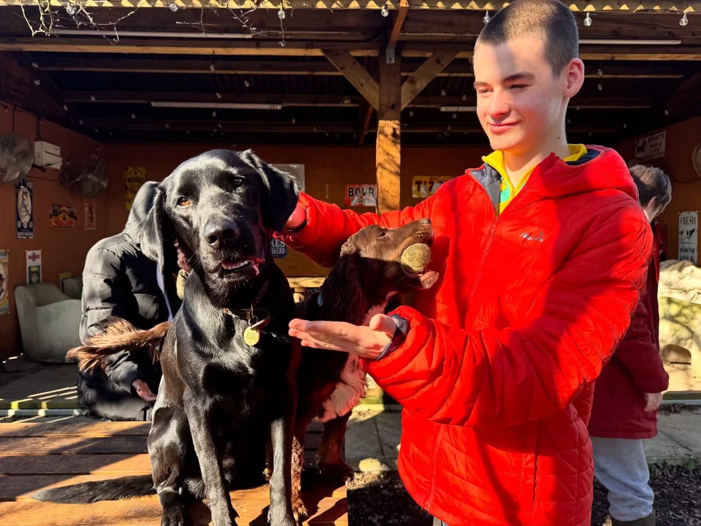 From fear to confidence: how a Halo Dogs placement helped an Enfield student thrive
